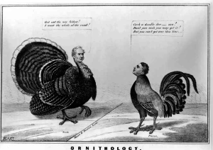 1850s election turkey