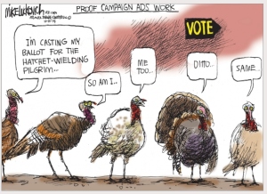 Turkey voters